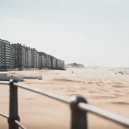 C- 호텔스 안드로메다