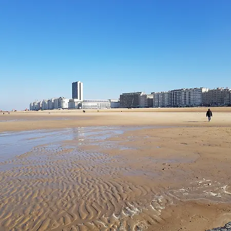 C ホテルズ アンドロメダ 4*