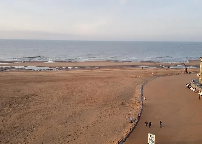 C-hotels Andromeda Ξενοδοχείο 4*